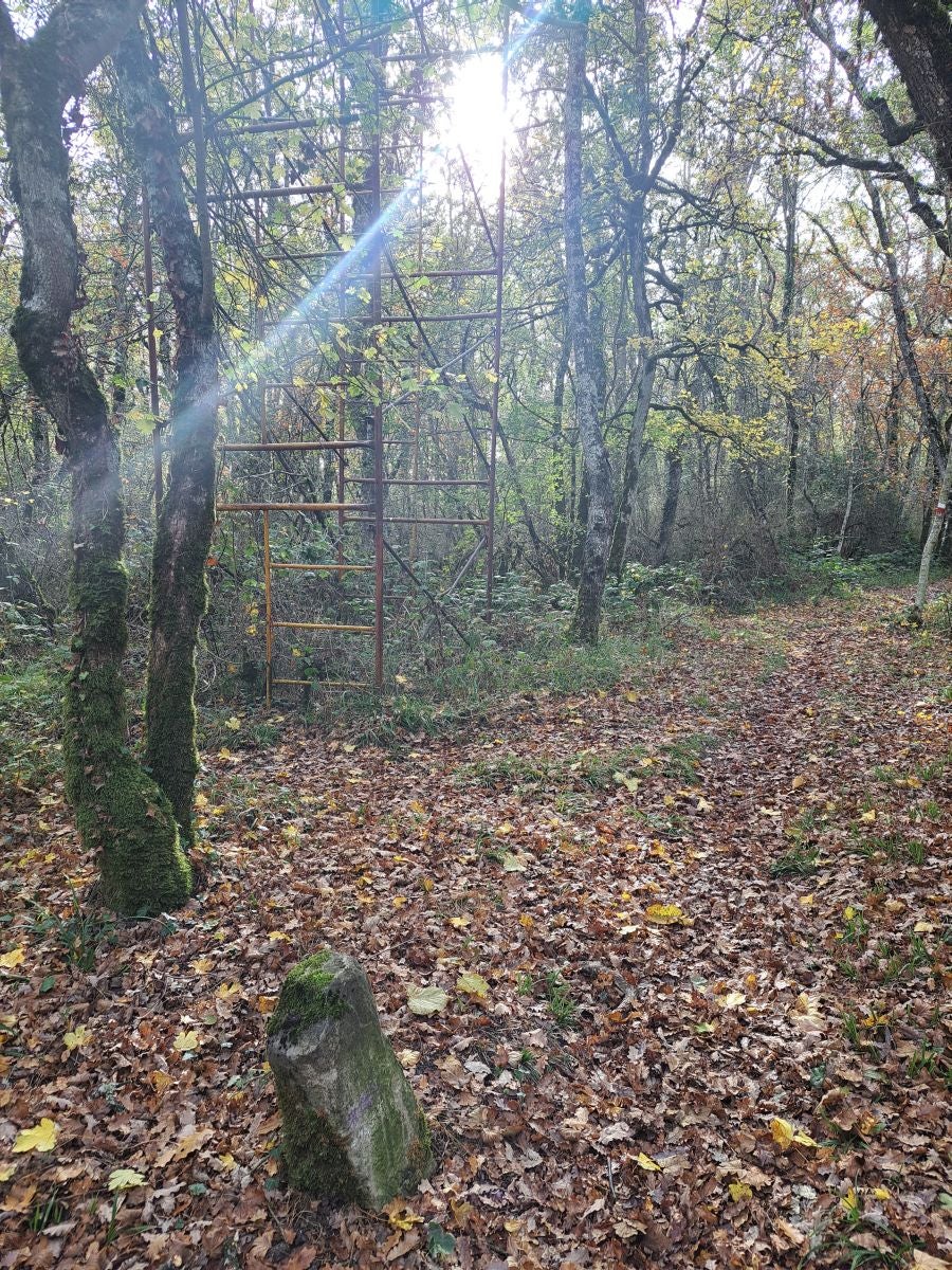 Fotos: Irulegi: impresionante balcón del reino