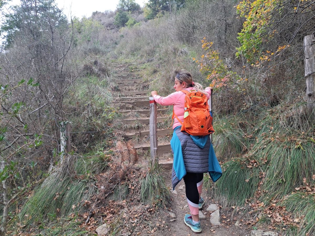 Fotos: Irulegi: impresionante balcón del reino