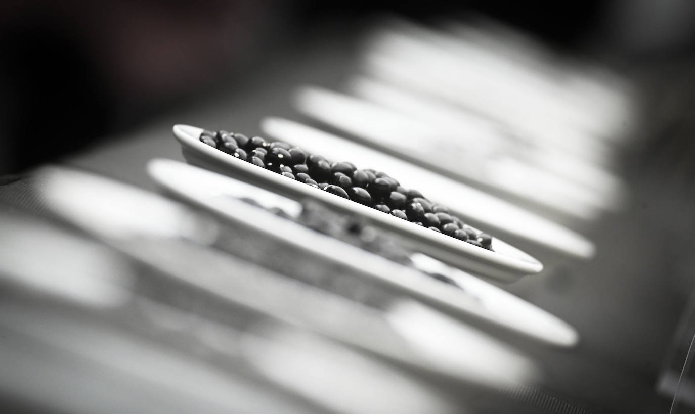 Fotos: Contra el frío y la lluvia, unas buenas alubias