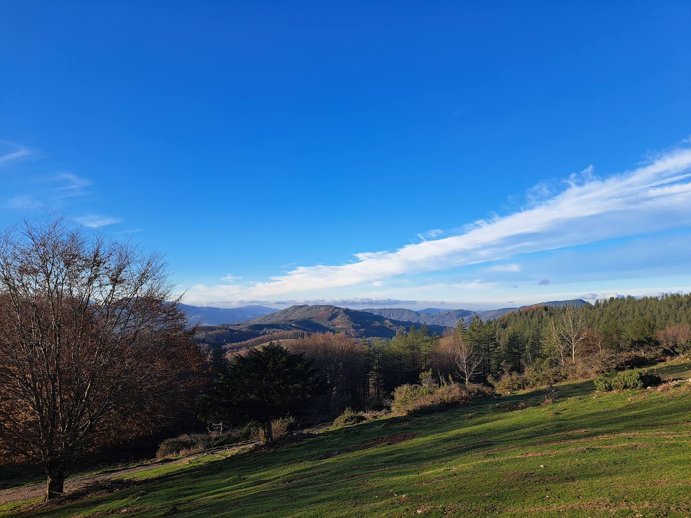 Fotosdel Monte Ulizar