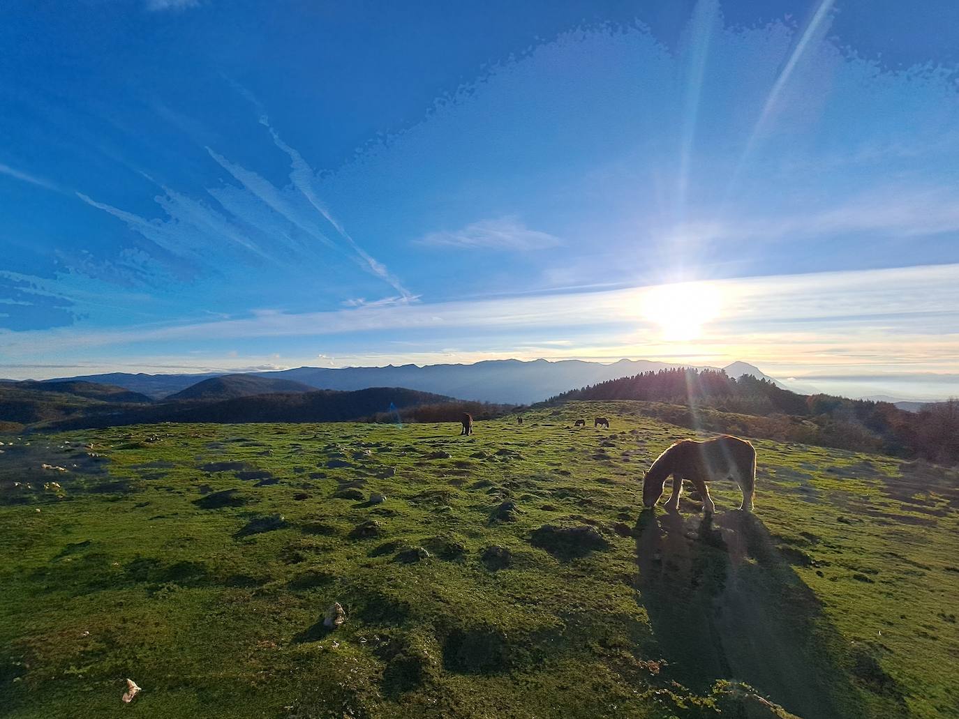 Fotosdel Monte Ulizar