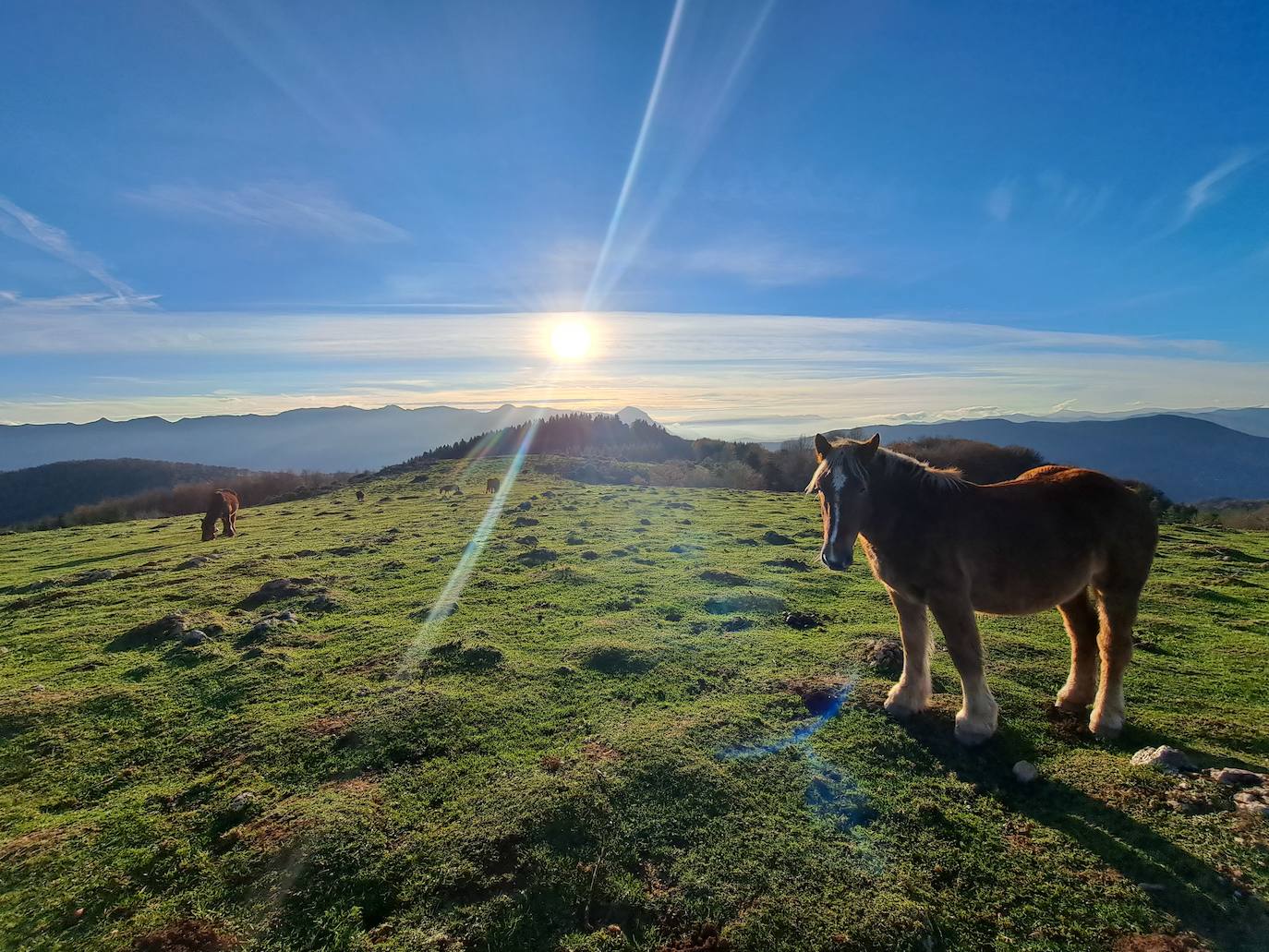 Fotosdel Monte Ulizar