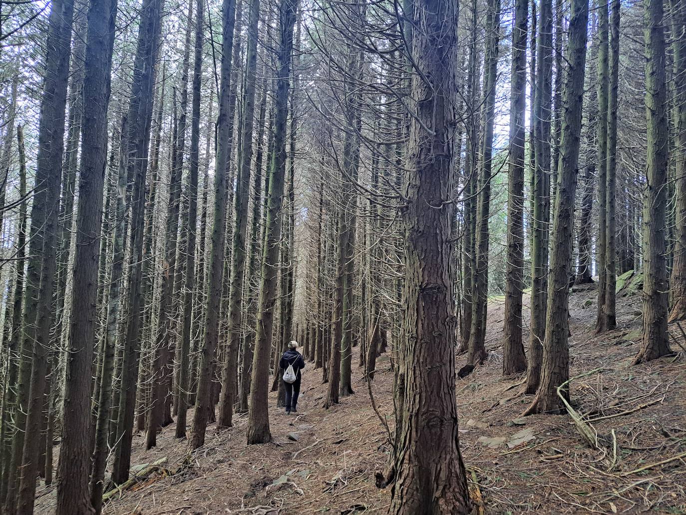 Fotos: Urdelar, una cima diferente