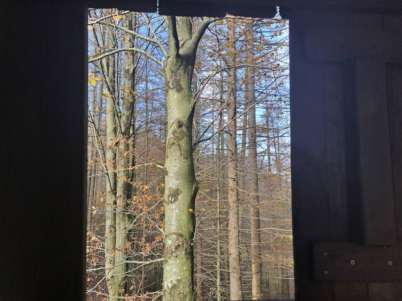 Fotos: Urdelar, una cima diferente