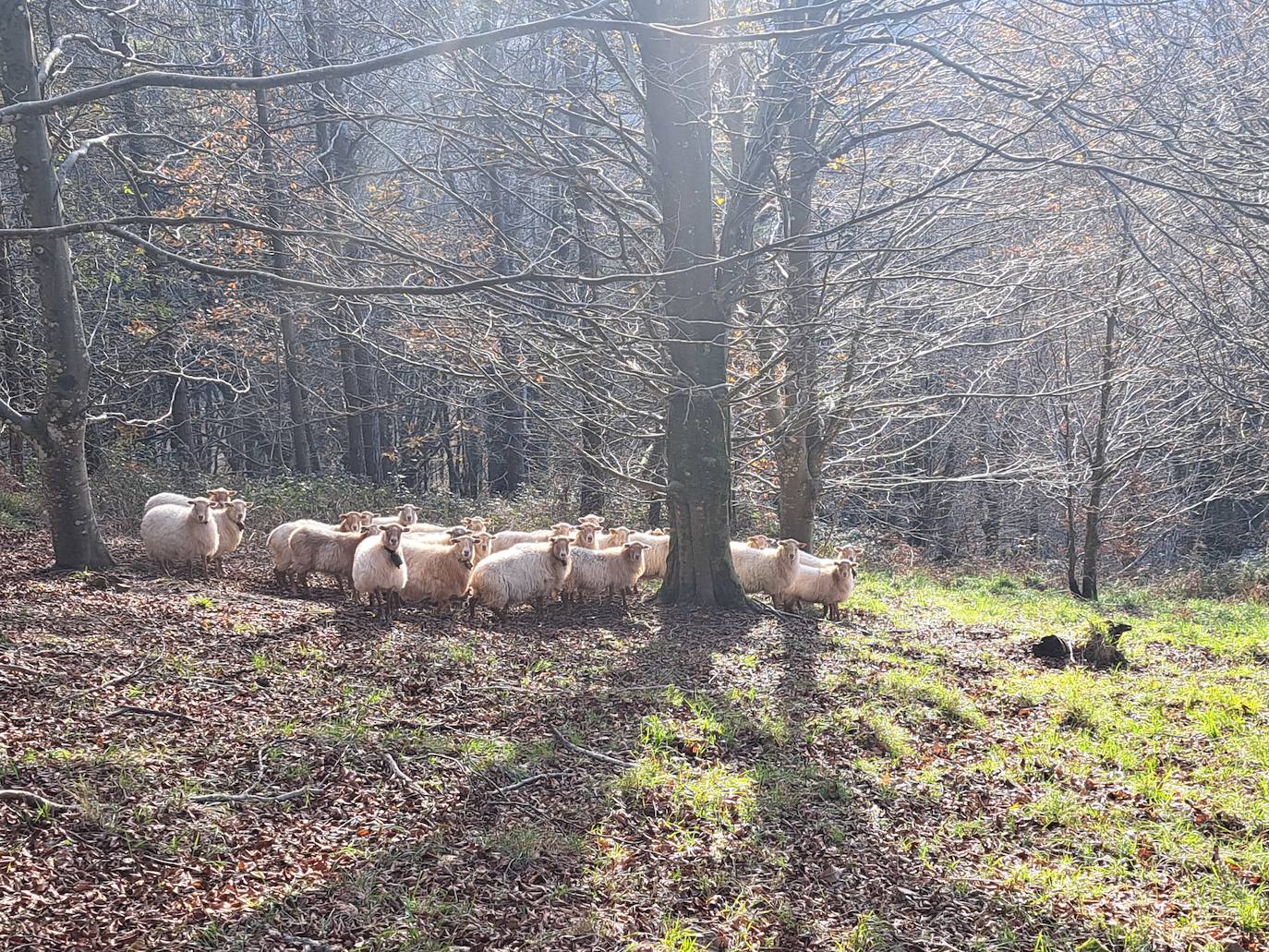 Fotos: Urdelar, una cima diferente