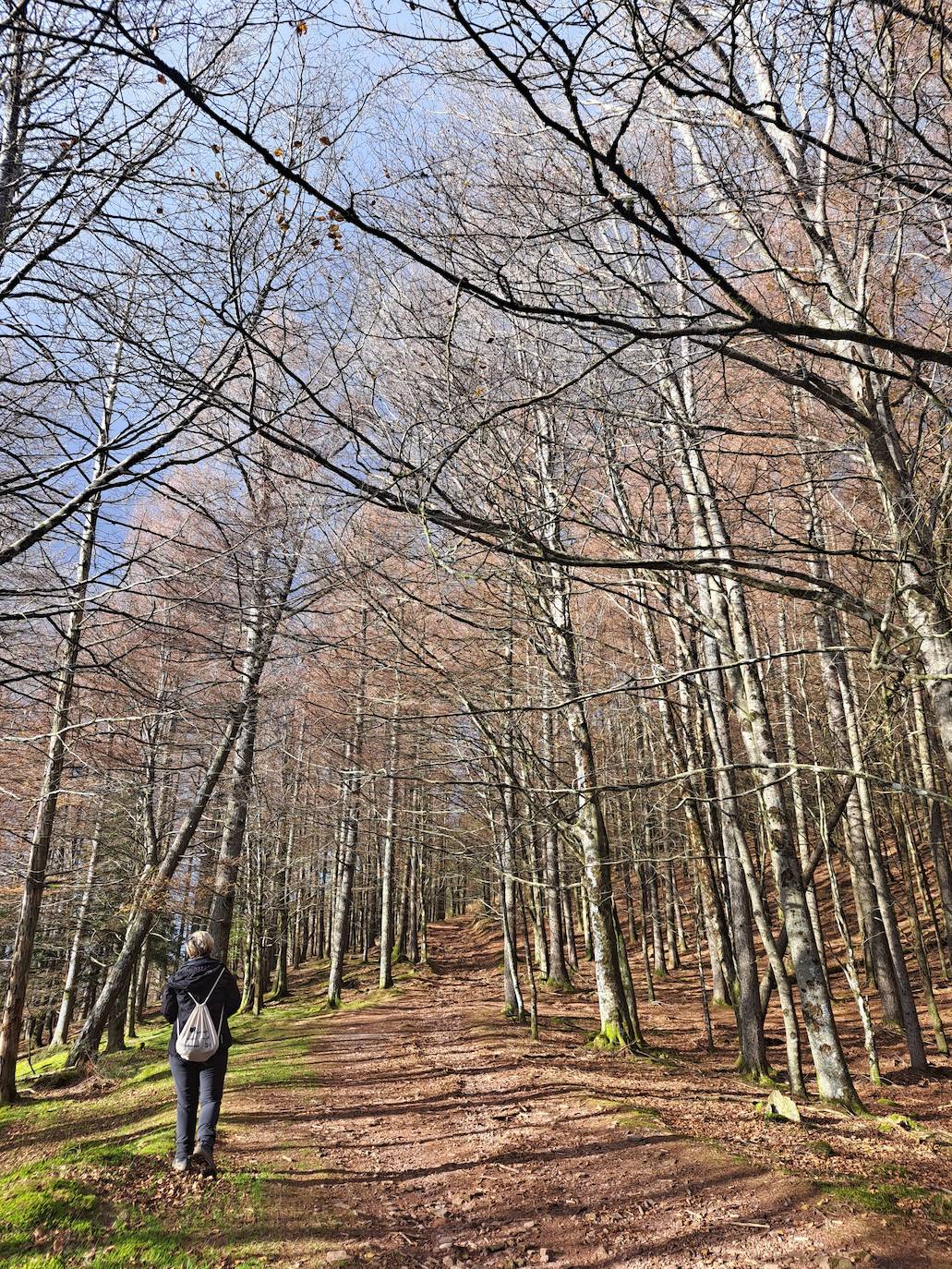 Fotos: Urdelar, una cima diferente