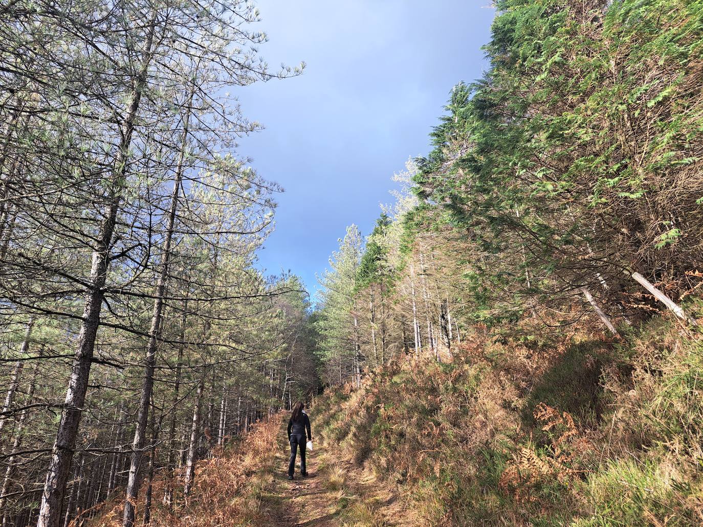 Fotos: Urdelar, una cima diferente