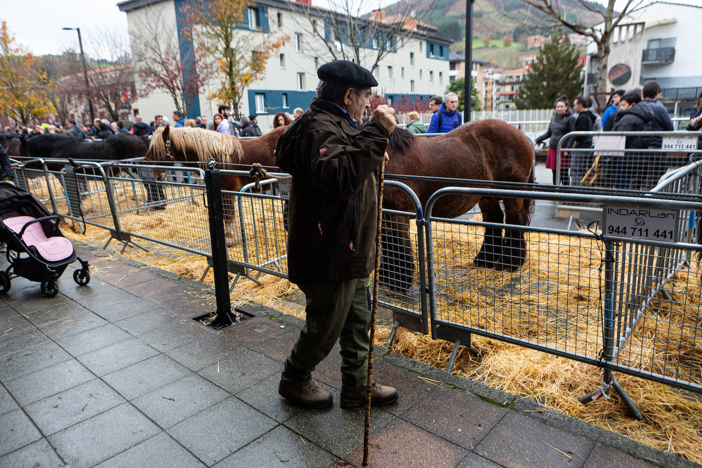 Fotos: La feria de Santa Lucía vuelve a brillar