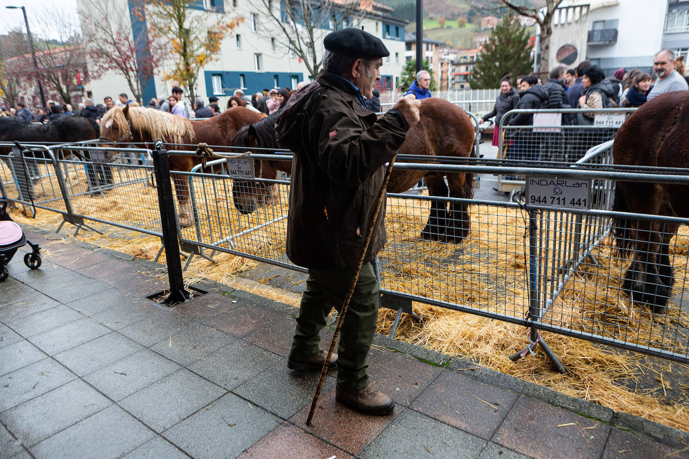 Fotos: La feria de Santa Lucía vuelve a brillar