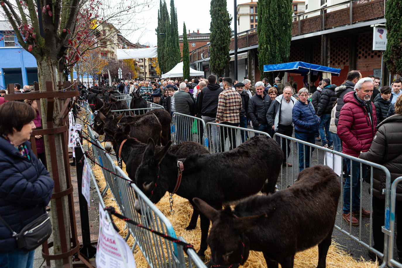 Fotos: La feria de Santa Lucía vuelve a brillar
