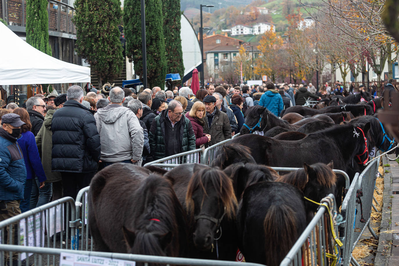 Fotos: La feria de Santa Lucía vuelve a brillar