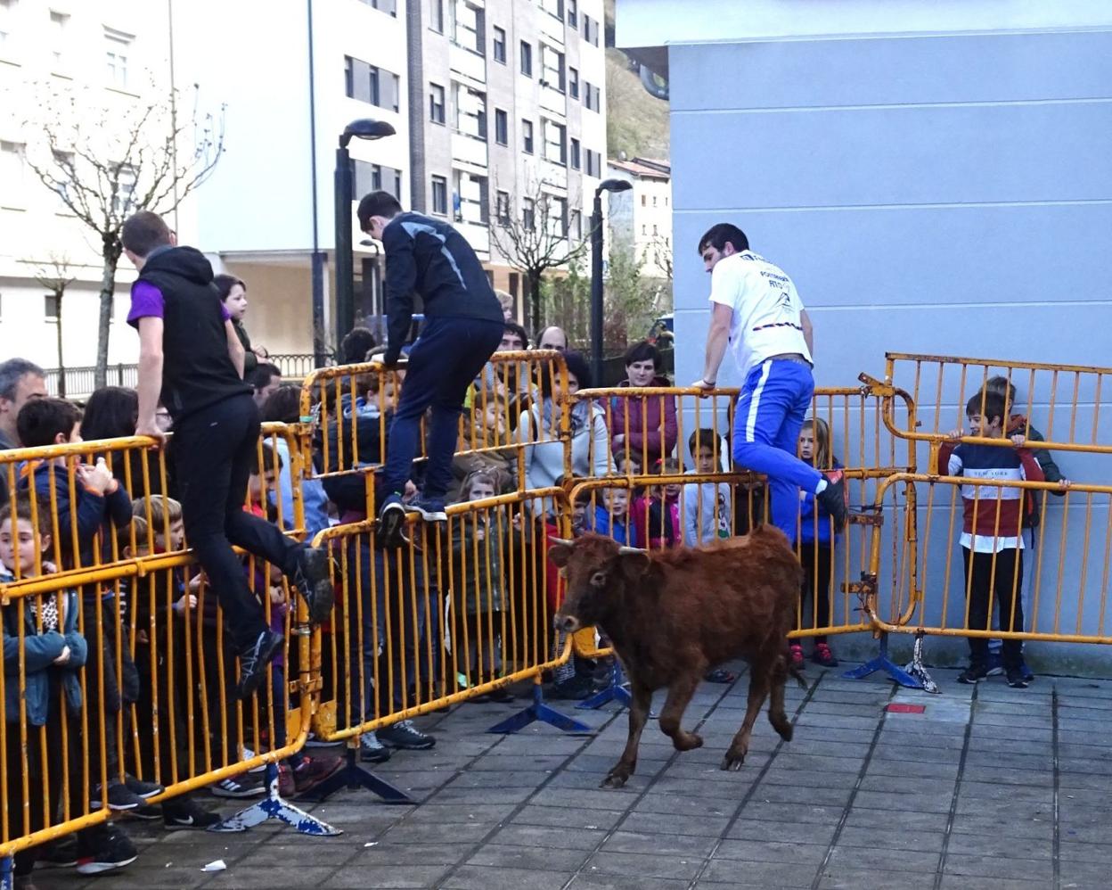 Las vaquillas son un clásico con un alta respuesta en la feria que impulsan y celebran en San Antonio. 