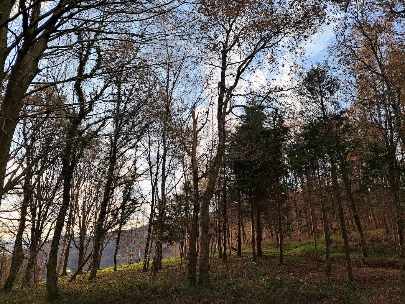 Fotos: Disfruta con las ascensión a Murgil