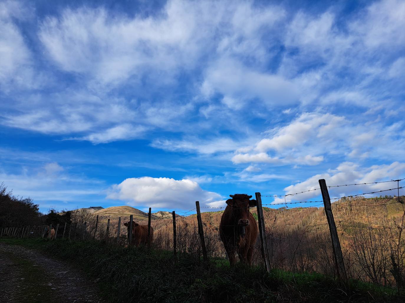 Fotos: Disfruta con las ascensión a Murgil