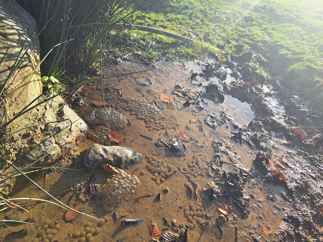 Fotos: Disfruta con las ascensión a Murgil