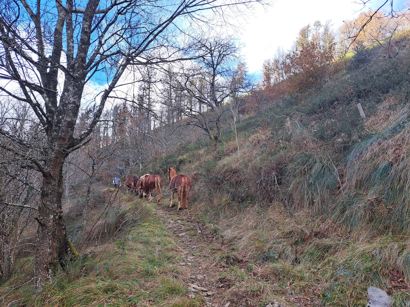 Fotos: Disfruta con las ascensión a Murgil