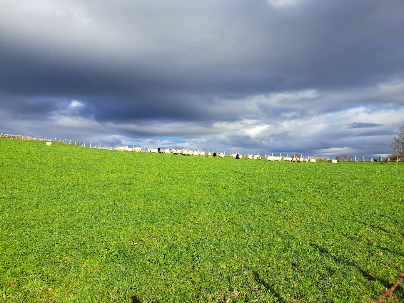 Fotos: Disfruta con las ascensión a Murgil
