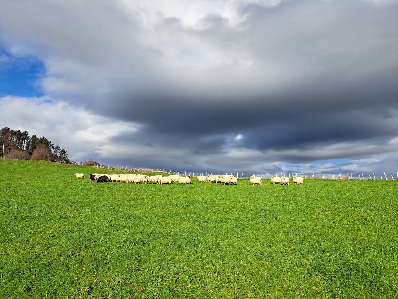 Fotos: Disfruta con las ascensión a Murgil