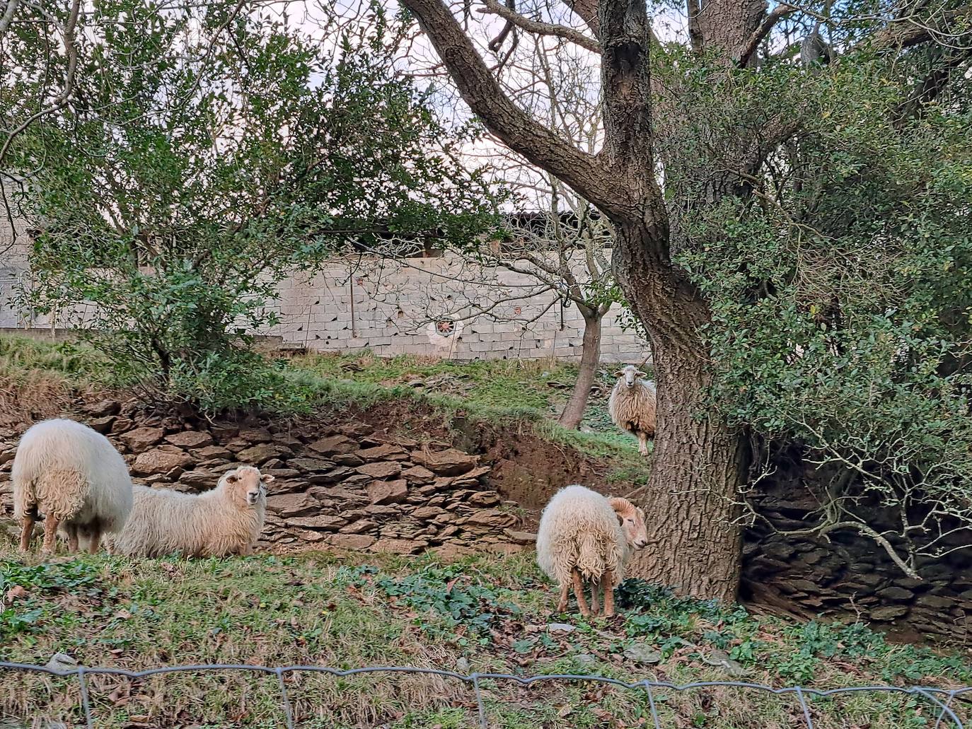 Fotos: Disfruta con las ascensión a Murgil