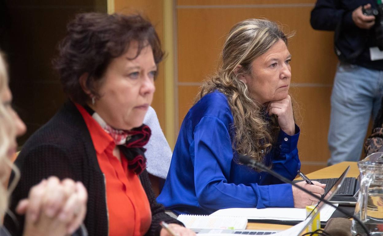 Gotzone Sagardui, en la comisión de Salud del Parlamento Vasco. 