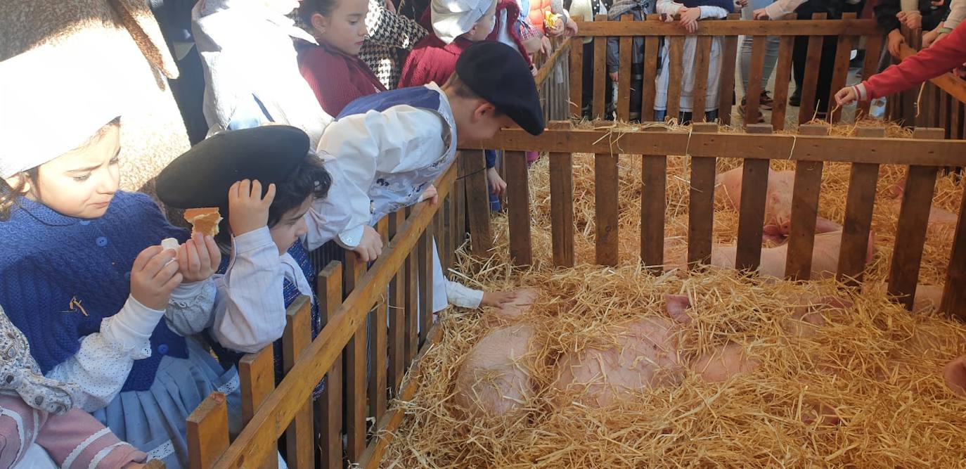 Fotos: Azpeitia disfruta en la feria de Santo Tomás