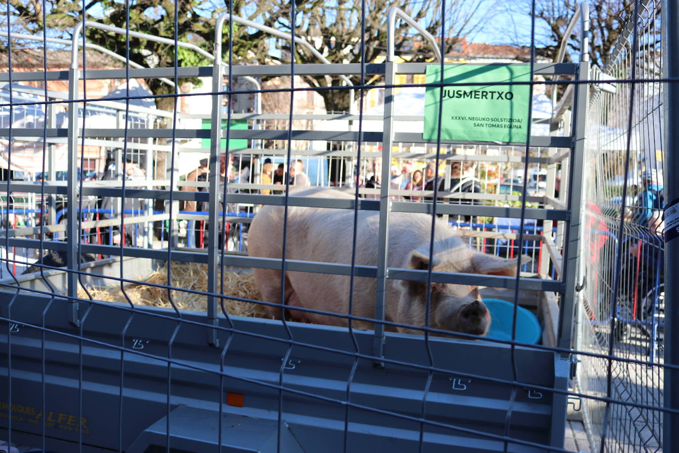Fotos: Errenteria se vuelca con Santo Tomás