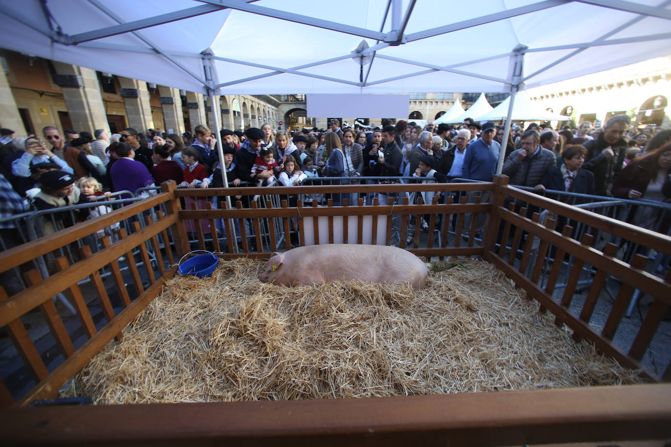 Donostia disfruta de Santo Tomás 2022