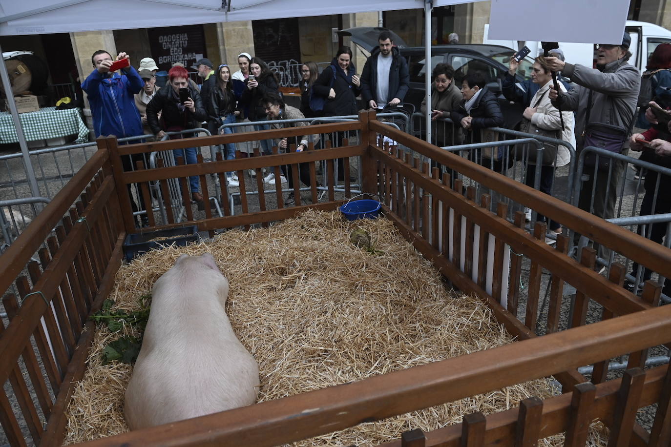 Donostia disfruta de Santo Tomás 2022