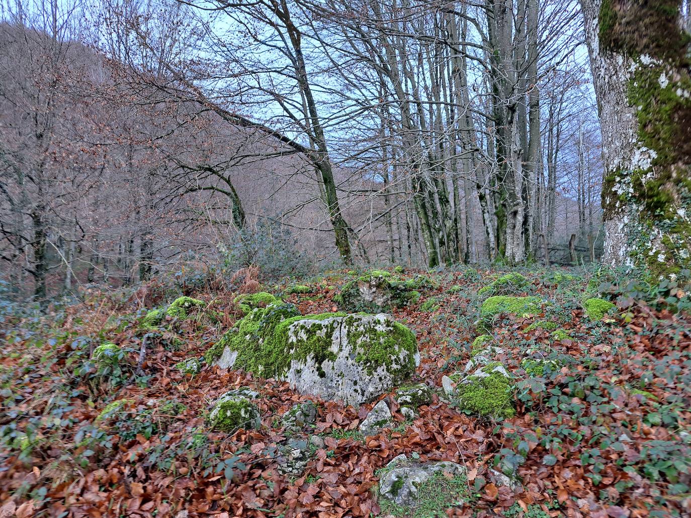 Fotos: Uidui, un bonito rincón de Aralar