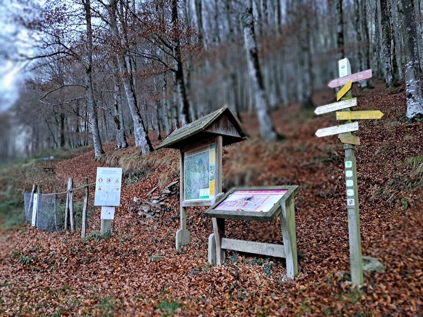 Fotos: Uidui, un bonito rincón de Aralar