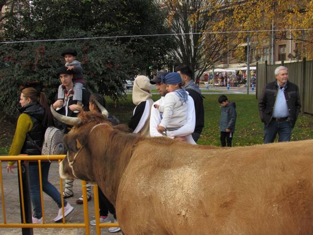 Fotos: Santamasak, en todo su esplendor