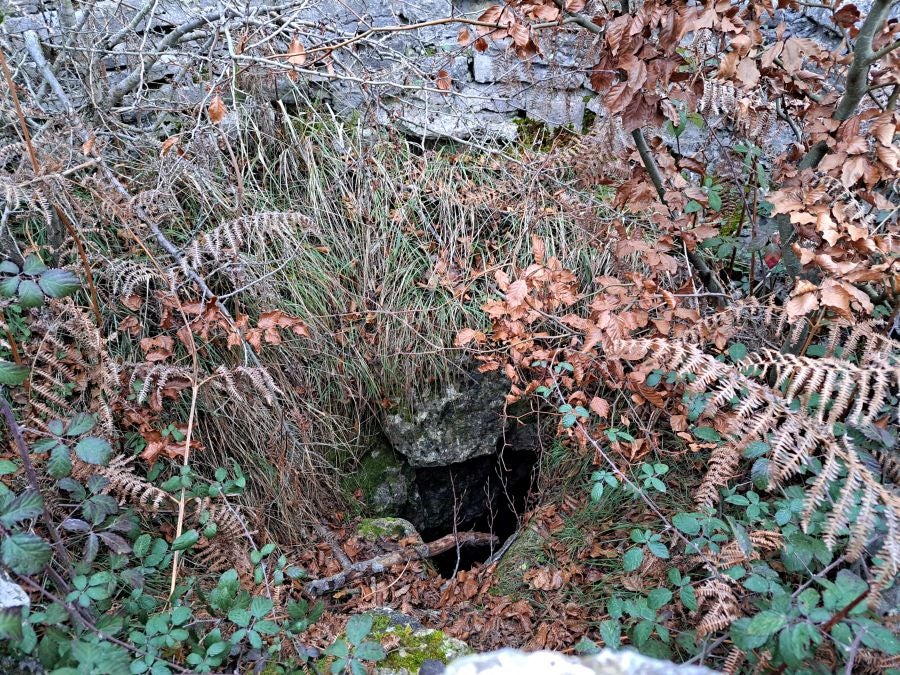 Fotos: Ruta mágica entre hayedos hacia la cima de Bargagain