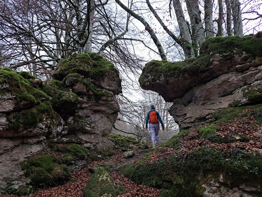 Fotos: Ruta mágica entre hayedos hacia la cima de Bargagain