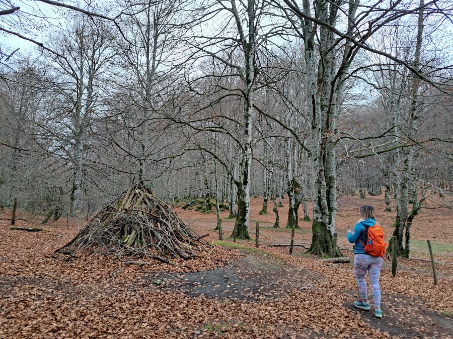 Fotos: Ruta mágica entre hayedos hacia la cima de Bargagain