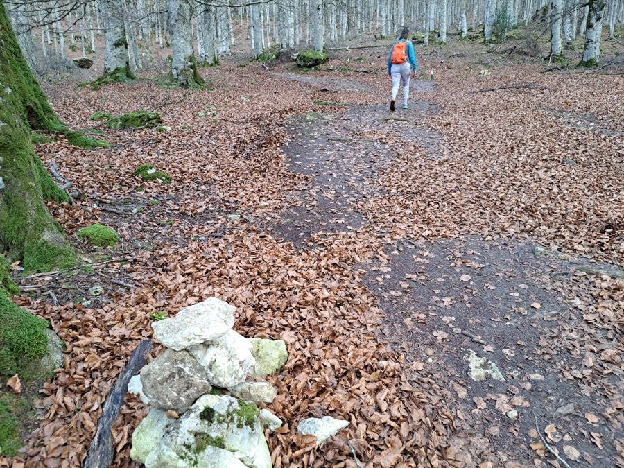 Fotos: Ruta mágica entre hayedos hacia la cima de Bargagain