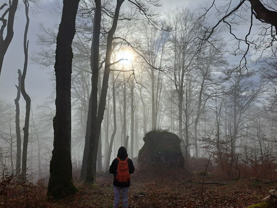 Fotos: Ruta mágica entre hayedos hacia la cima de Bargagain