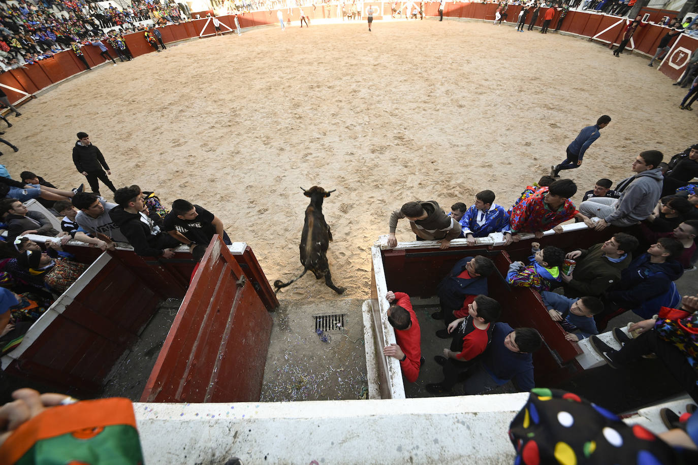 Viernes Flaco en Tolosa