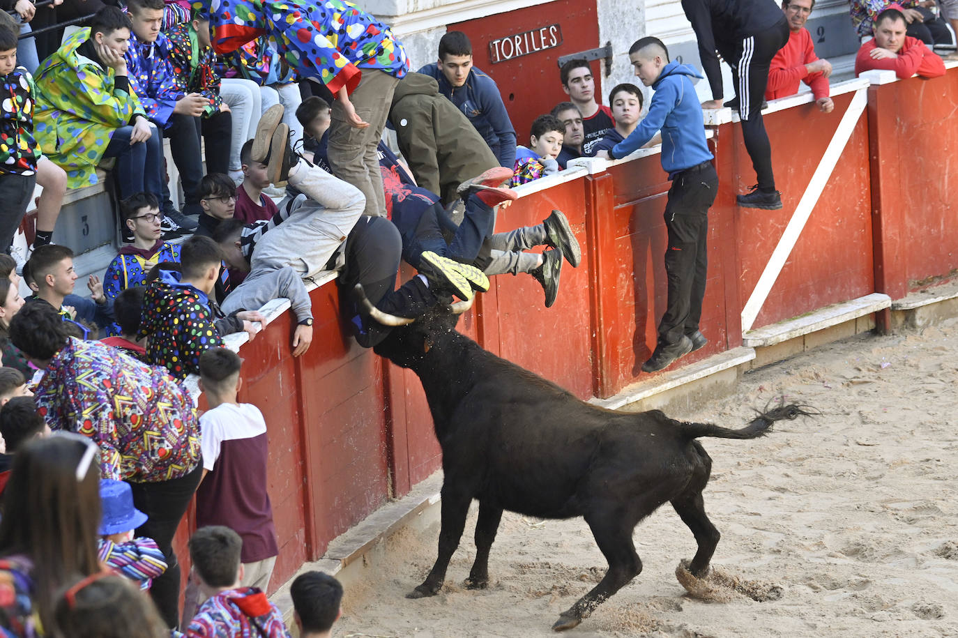 Viernes Flaco en Tolosa