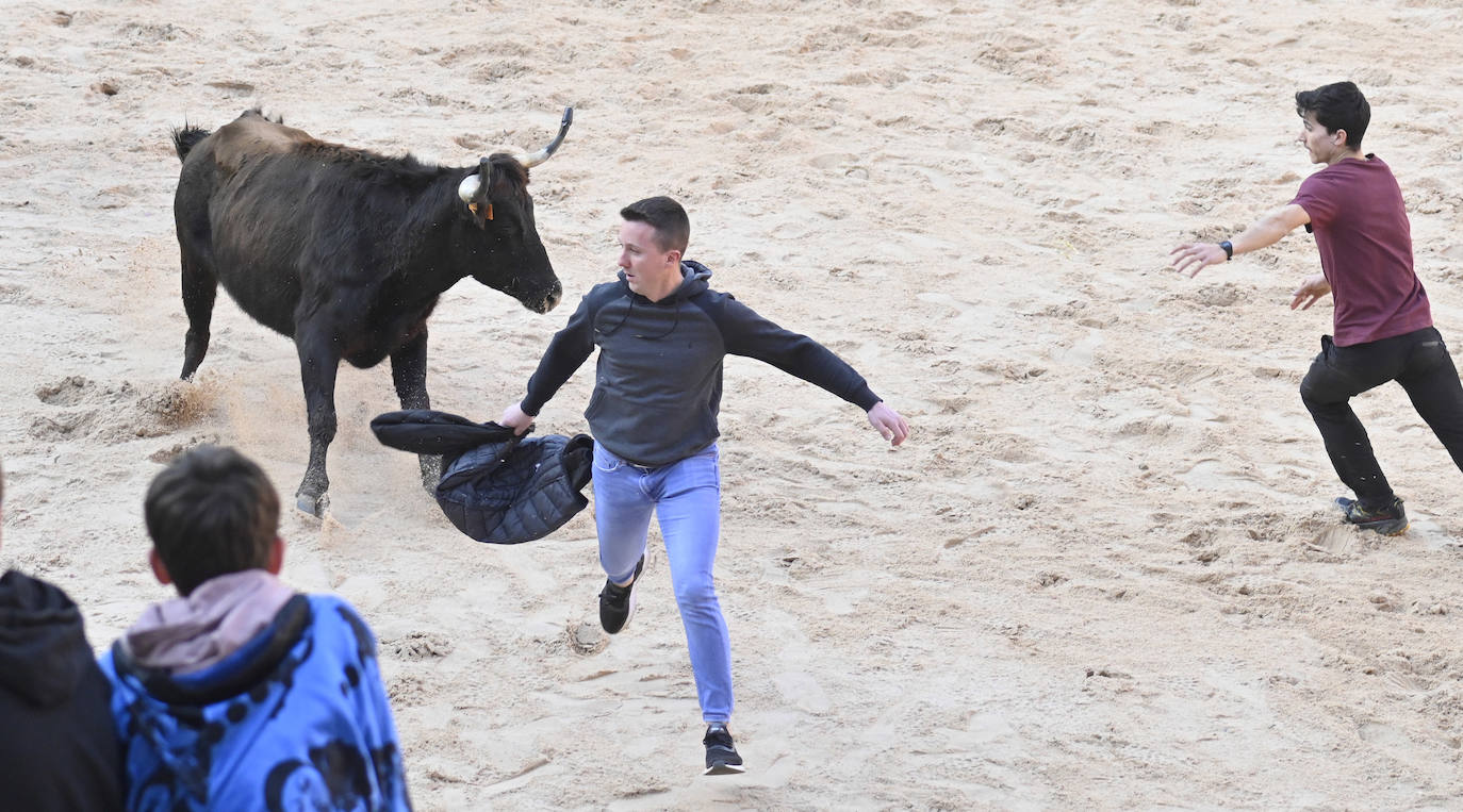 Viernes Flaco en Tolosa