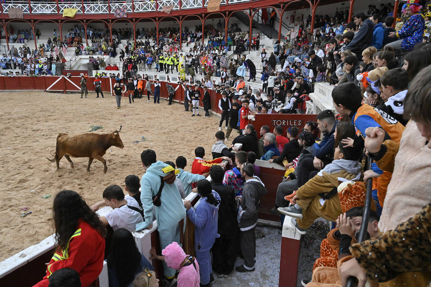 Asteartita pone el broche final a los carnavales de Tolosa