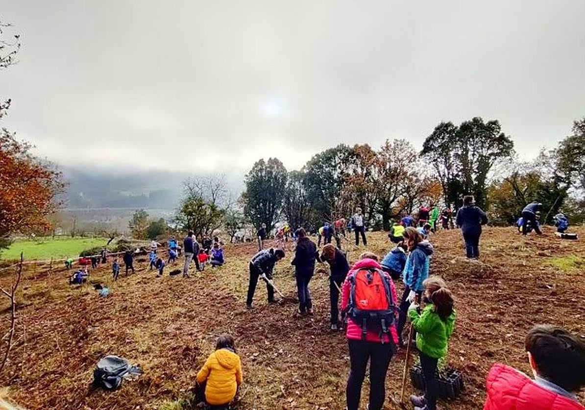 Plantación desarrollada hace un año por voluntarios con Kukubaso.