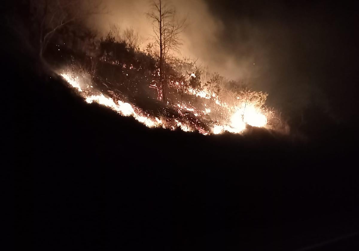 Las llamas del incendio de la pasada madrugada en Asteasu.