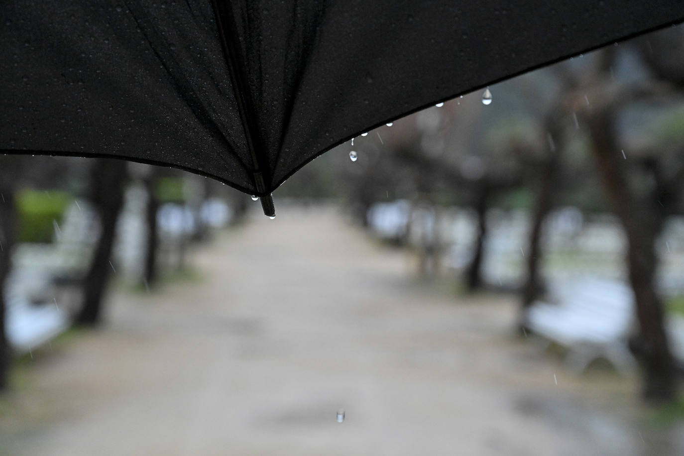 La lluvia no quiere dejar escapar febrero