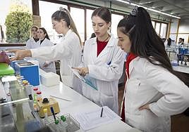 Ingeniaritza Biomedikoa masterreko ikasleak, laborategiko praktiketan, pasa den urtarrilean.