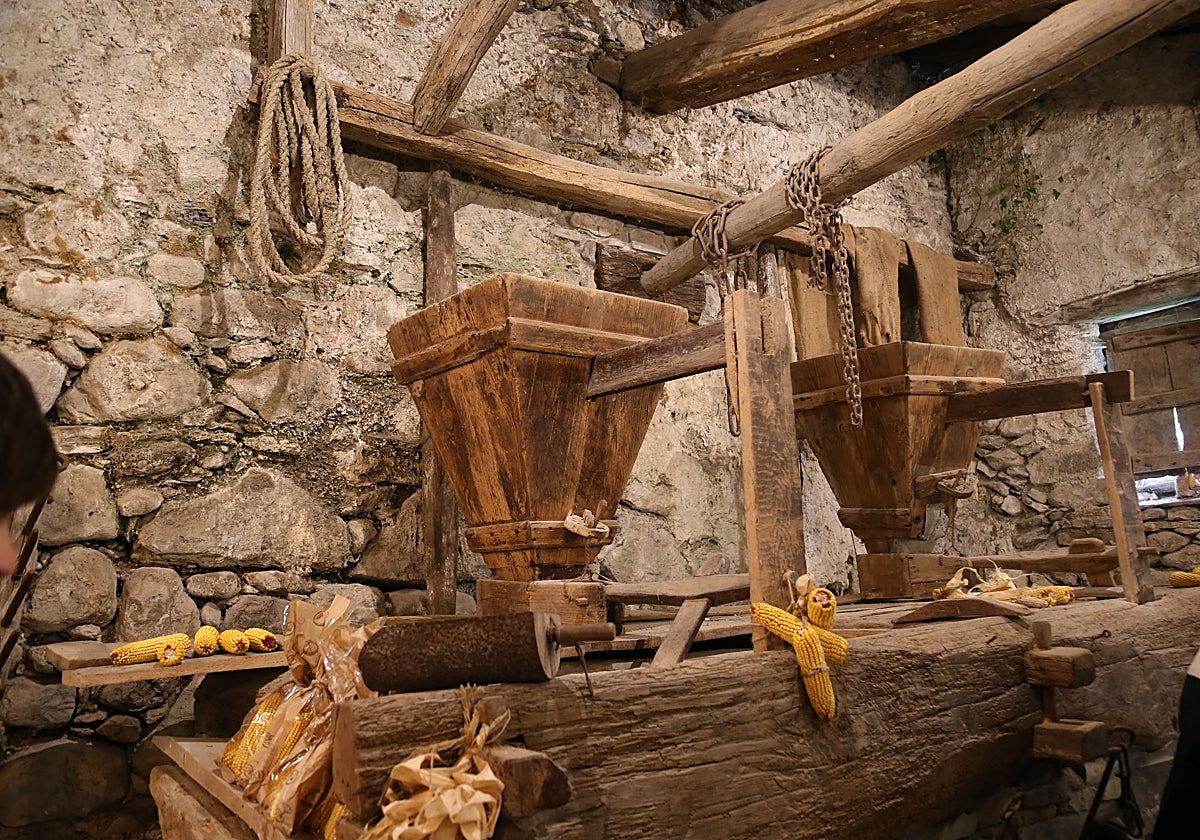 Amezketako Pello Zabala gunean ondare naturala eta kulturala ezagutzera ematen dira.