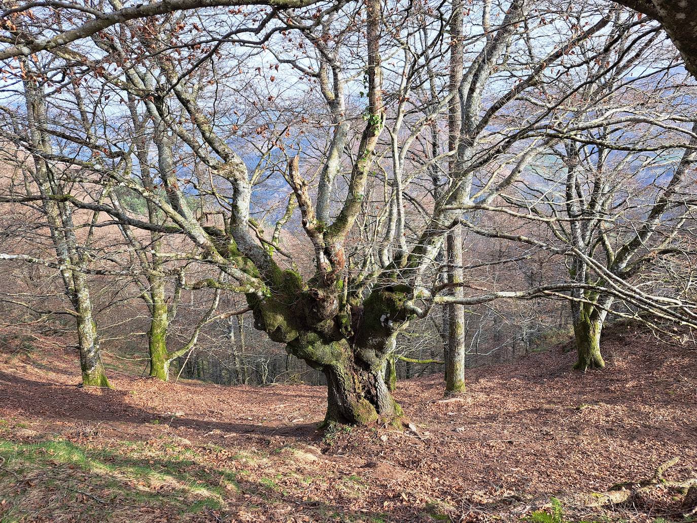 Cima con grandes panorámicas