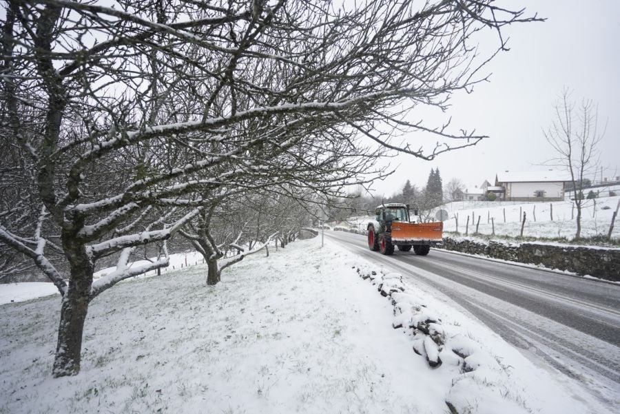 Nieve en Gipuzkoa: El manto blanco se extiende por el territorio