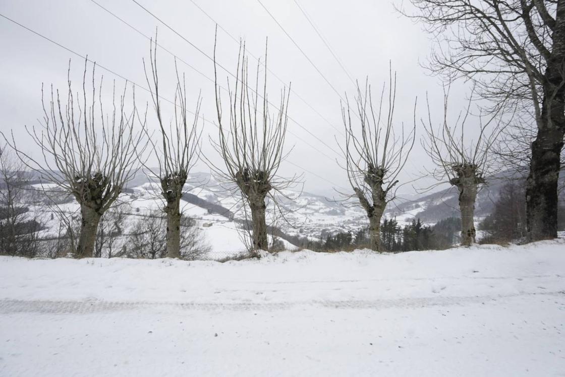 El interior sigue cubierto de nieve.