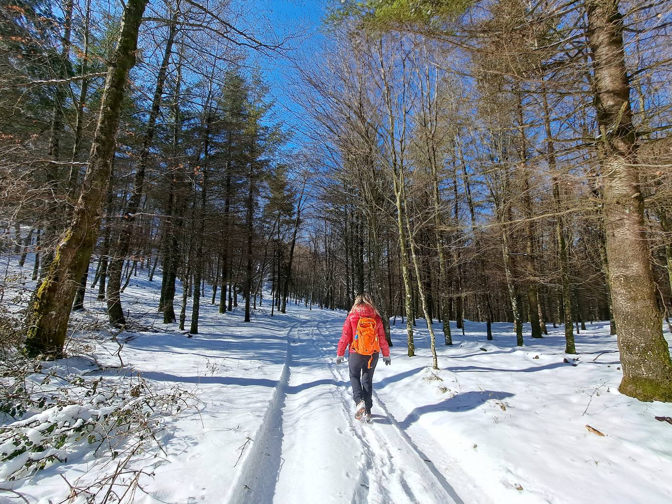 La cima de los mil secretos
