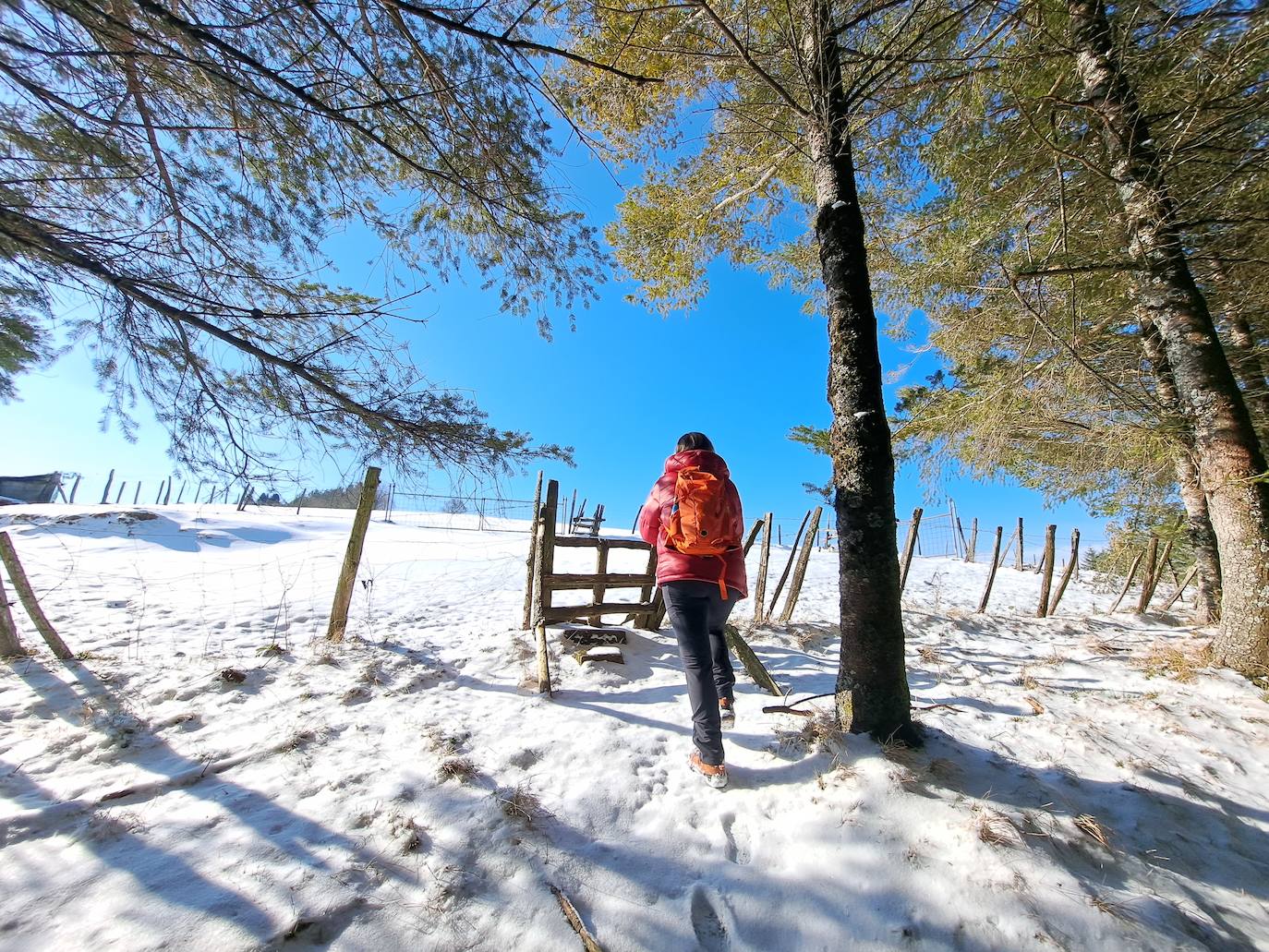 La cima de los mil secretos